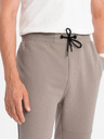 Ombre Clothing Ombre Clothing Ottoman Šedé pánske tepláky