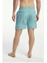 Tenson Pánske plavky TENSON tyrkysové