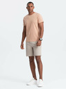 Ombre Clothing Pánske klasické bavlnené tričko BASIC Ombre Oblečenie