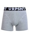 Represent Pánske šortky EXCLUSIVE SPORT GREY Represent
