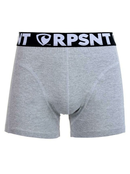 Represent Pánske šortky EXCLUSIVE SPORT GREY Represent
