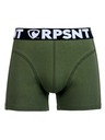 Represent Pánske šortky EXCLUSIVE SPORT GREEN Represent