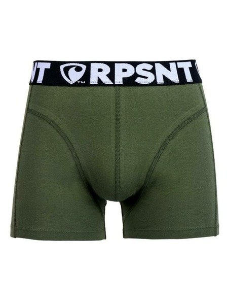 Represent Pánske šortky EXCLUSIVE SPORT GREEN Represent