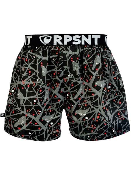Represent Pánske šortky EXCLUSIVE MIKE HITCHCOCK'S DREAM Represent