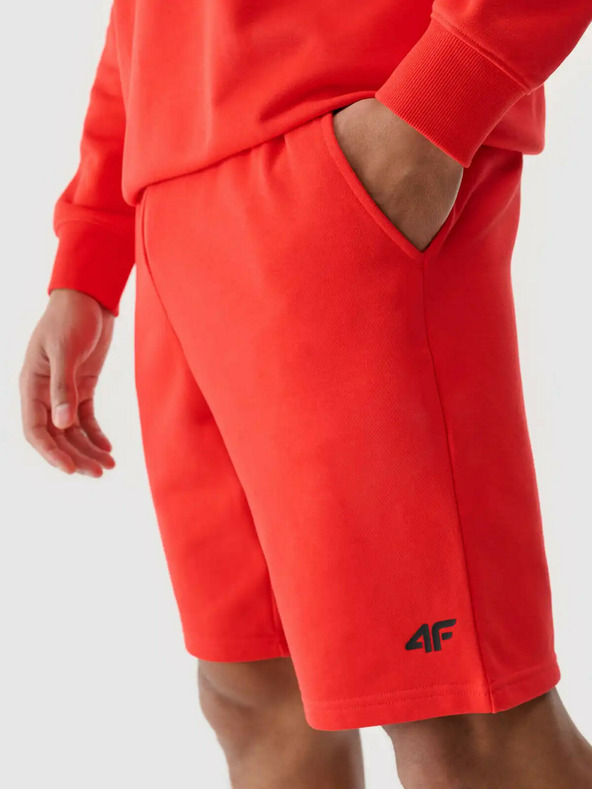 4F Pánske šortky 4F