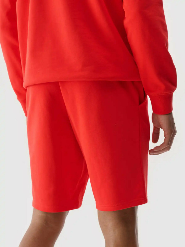 4F Pánske šortky 4F