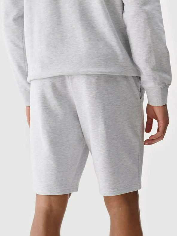 4F Pánske šortky 4F