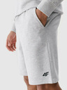 4F Pánske šortky 4F