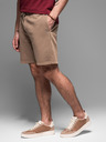 Ombre Clothing Pánske bavlnené teplákové šortky BASIC hnedé Ombre Oblečenie