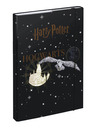 BAAGL  A4 Erb Harryho Pottera Bradavice Baagl