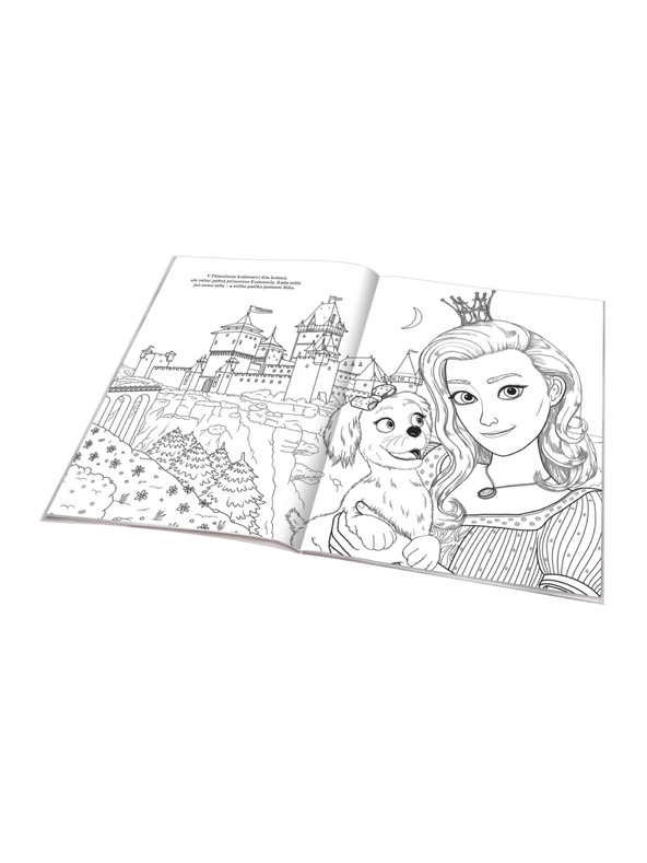 BAAGL  MISS PRINCEZNA - Omaľovánka na motívy filmovej rozprávky