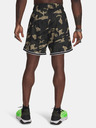 Under Armour Pánske kraťasy Under Armour Pjt Rck Mesh Short
