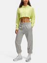 Under Armour Dámska mikina Under Armour UA Icon Terry Crop Hoodie