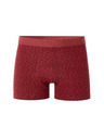Celio Boxerky Miboflori