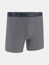 Under Armour Pánske boxerky Under Armour M UA Perf Tech 6in 1pk