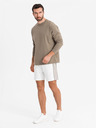 Ombre Clothing Pánske krátke teplákovové kraťasy so širokými pruhmi - biele
