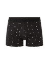 Celio Boxerky Liboastro