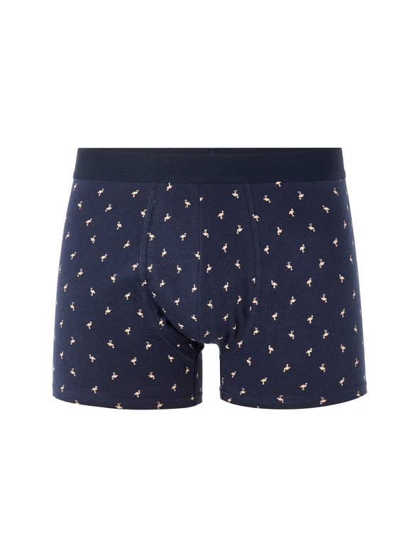 Celio Boxerky Liboflam