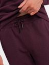 Ombre Clothing BASIC pánska bavlnená mikina BASIC bordó Ombre Clothing