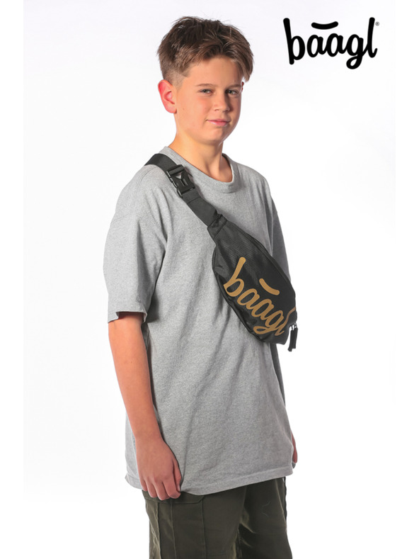 BAAGL  BAAGL Ľadvinka Snap Gold