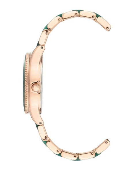 Anne Klein Dámske hodinky Anne Klein AK/3770GNRG