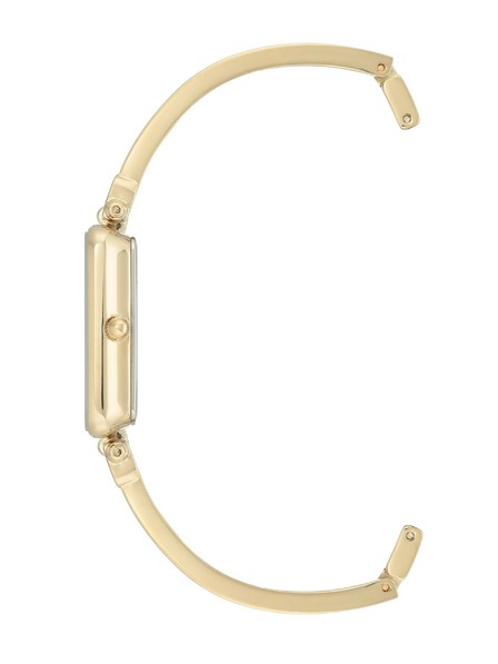 Anne Klein Dámske hodinky Anne Klein AK/3636TNGB
