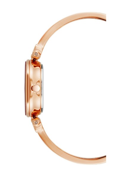 Anne Klein Dámske hodinky Anne Klein AK/1980BYRG