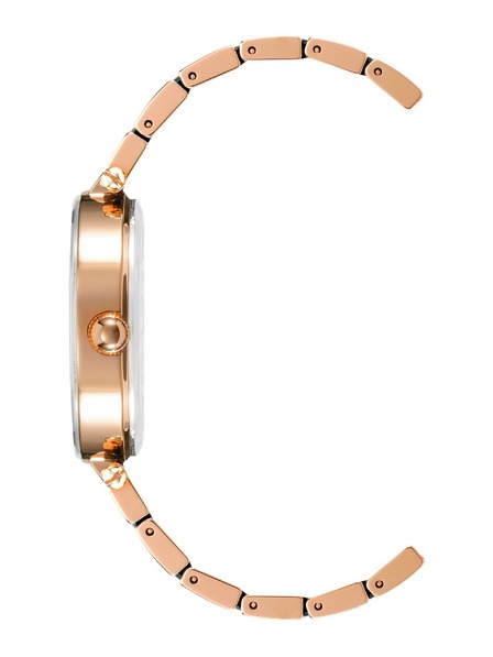 Anne Klein Dámske hodinky Anne Klein AK/3844NVRG