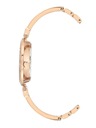 Anne Klein Dámske hodinky Anne Klein AK/2512LPRG