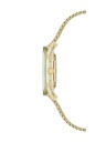 Anne Klein Dámske hodinky Anne Klein AK/2208CHGB