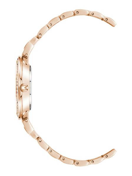 Anne Klein Dámske hodinky Anne Klein AK/2928RBRG