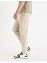 Celio Nohavice 24H Cosmart 30