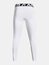 Under Armour Pánske legíny Under Armour UA CG Armour Leggings