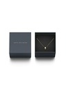 Daniel Wellington Dámsky oceľový náhrdelník Daniel Wellington Elan DW00400515