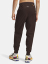 Under Armour Pánske športové nohavice Under Armour UA TRAIL RUN PANTS-BRN