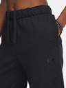 Under Armour Dámske športové nohavice Under Armour UA Icon Vida Flc Pant-BLK