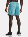 Under Armour Pánske kraťasy Under Armour Pjt Rck Penny Mesh Sts TG