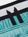 Under Armour Pánske kraťasy Under Armour Pjt Rck Penny Mesh Sts TG