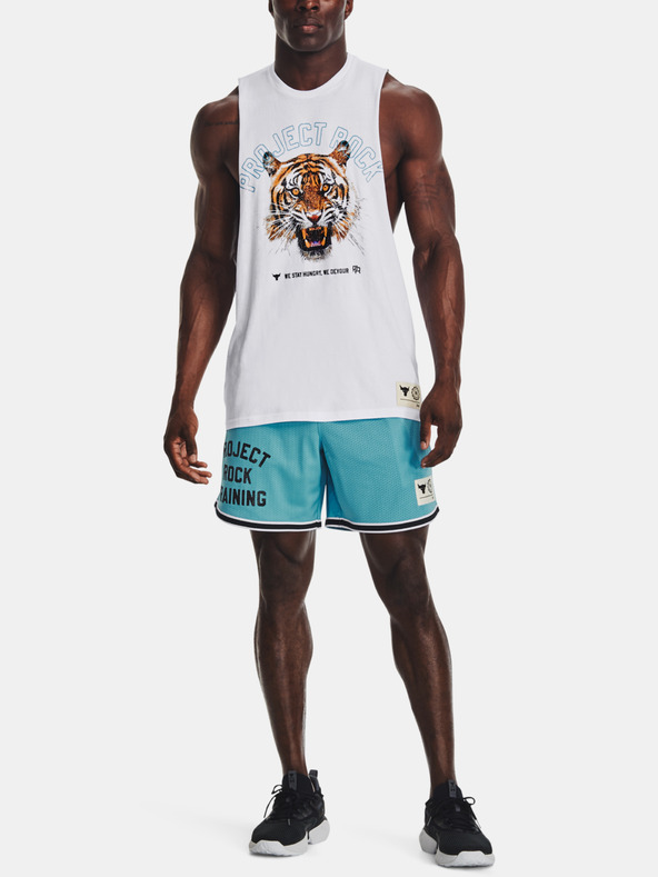 Under Armour Pánske kraťasy Under Armour Pjt Rck Penny Mesh Sts TG