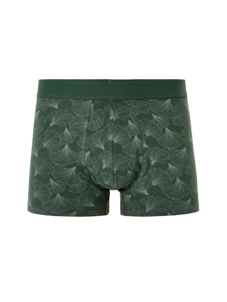 Celio Boxerky Miboginko