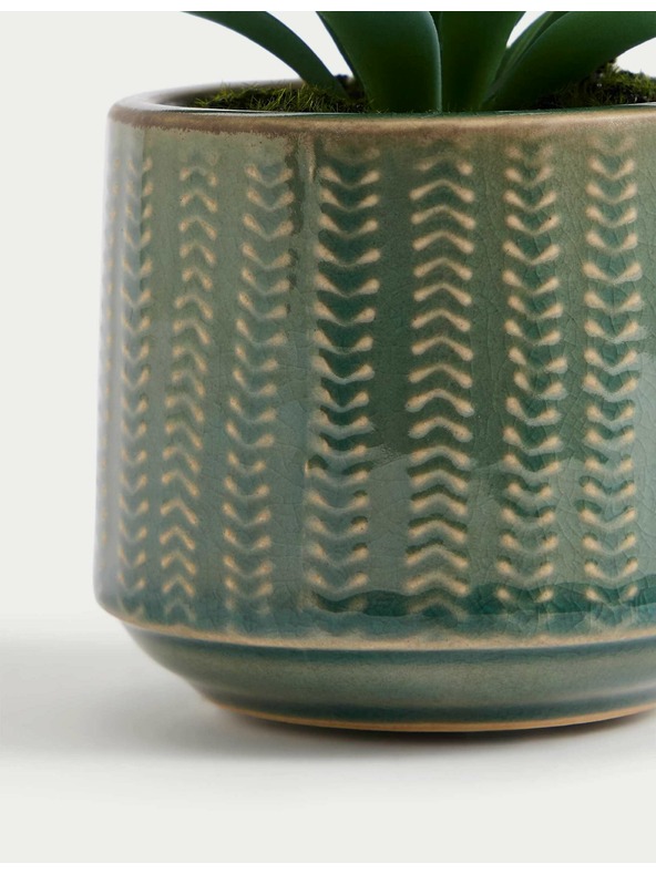 Marks & Spencer Zelený umelý mini sukulent v keramickom kvetináči v zelenej farbe Marks & Spencer