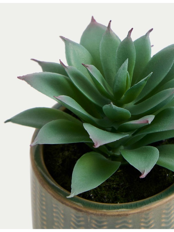 Marks & Spencer Zelený umelý mini sukulent v keramickom kvetináči v zelenej farbe Marks & Spencer