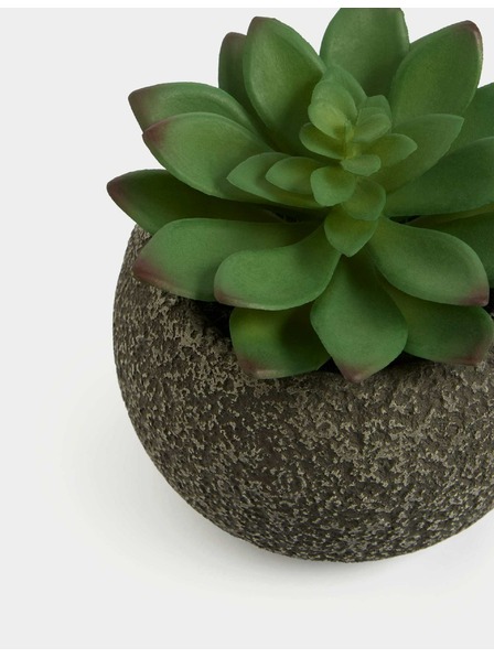 Marks & Spencer Umelý mini sukulent v betónovom kvetináči Marks & Spencer