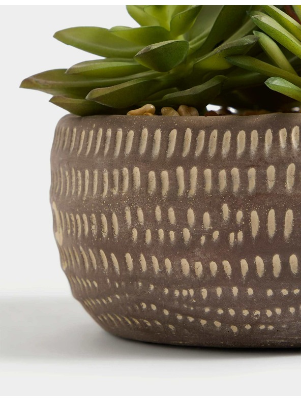 Marks & Spencer Umelé sukulenty v betónovom kvetináči Marks & Spencer šedá