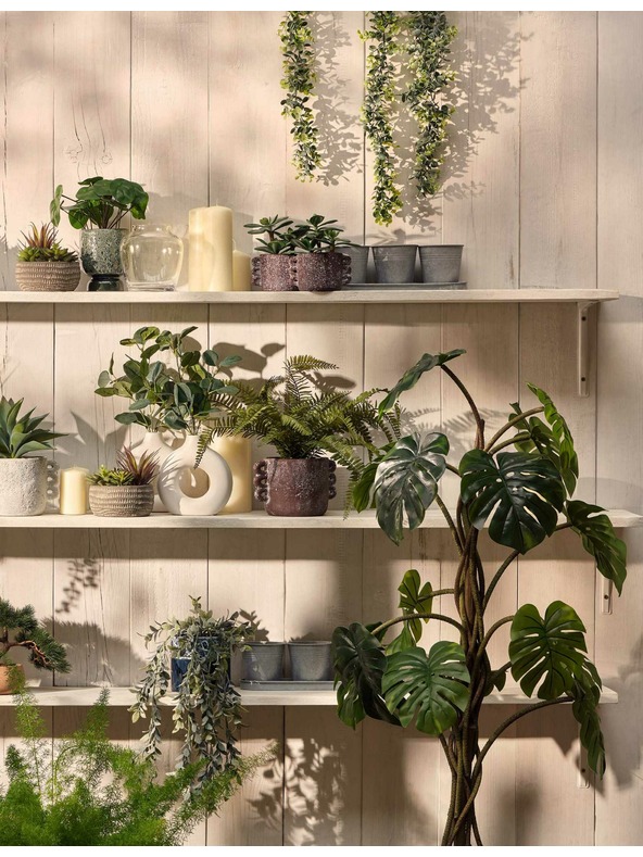 Marks & Spencer Umelé sukulenty v betónovom kvetináči Marks & Spencer šedá