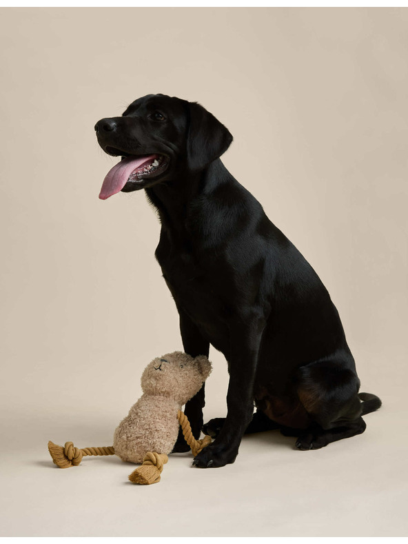 Marks & Spencer Hračka pre domácich miláčikov v podobe lana s motívom Spencer Bear™ Marks & Spencer hnedá