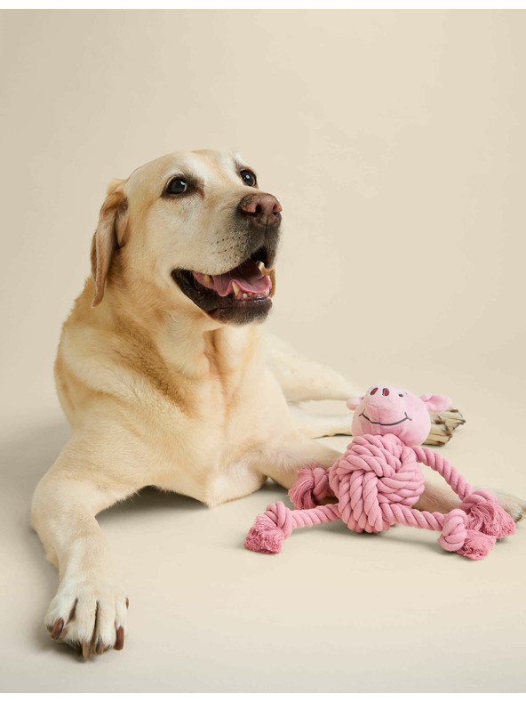 Marks & Spencer Hračka pre miláčika, Prasiatko Percy™ Marks & Spencer ružová