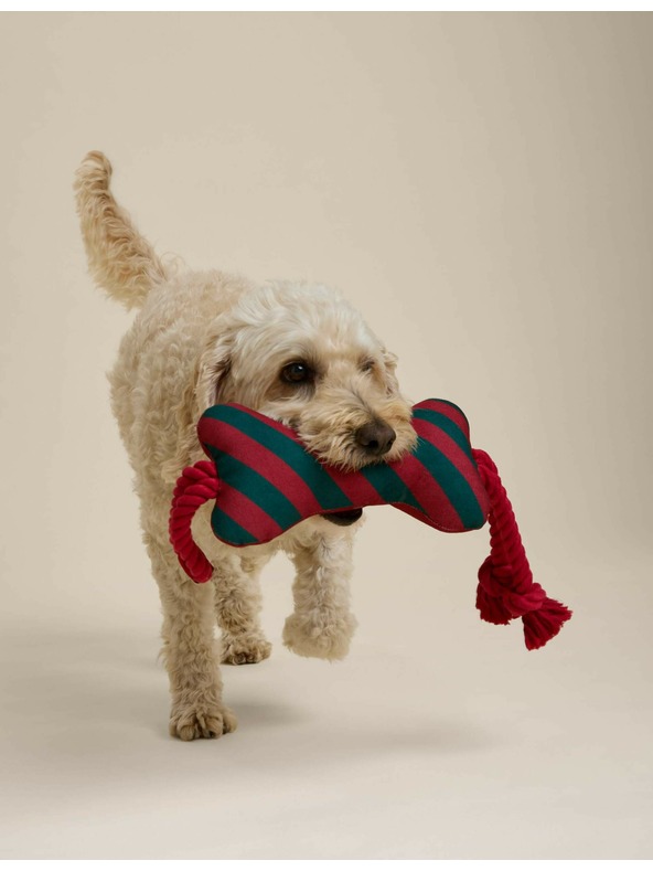 Marks & Spencer Hračka pre psov – pruhovaná kosť Marks & Spencer zelená