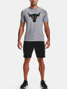 Under Armour Pánske kraťasy Under Armour  Project Rock Terry Shorts