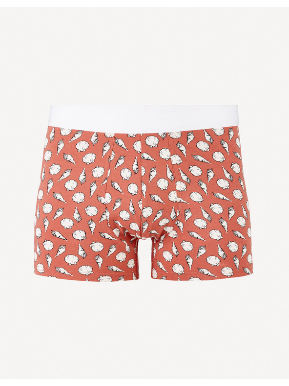 Celio Jiboshell Boxerky